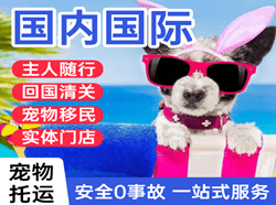 新郑机场物流国际宠物托运 【国